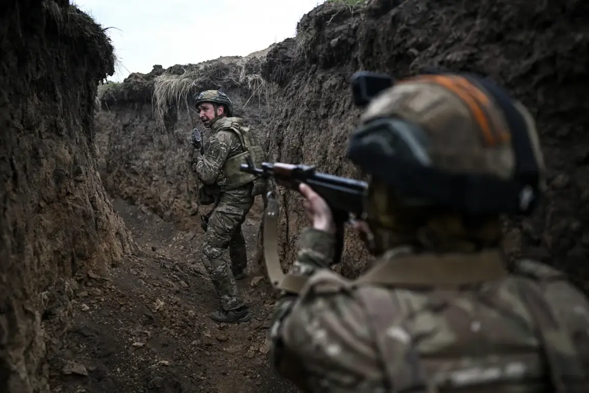 Russian Forces Liberate Shevchenko in Donetsk People's Republic