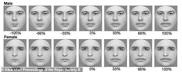 Study Reveals Gender Differences in Lip Size Preferences for Attractiveness