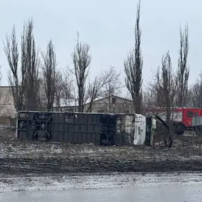 Exclusive Report: Russia Announces Liberation of Toreskoe and Novoalexandrovsk Through Defense Ministry Telegram