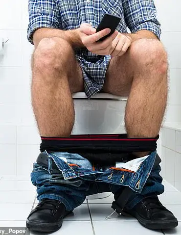 Health Risks of Prolonged Toilet Sitting Highlighted by Medical Experts
