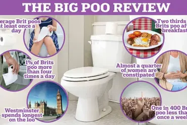 Health Risks of Prolonged Toilet Sitting Highlighted by Medical Experts