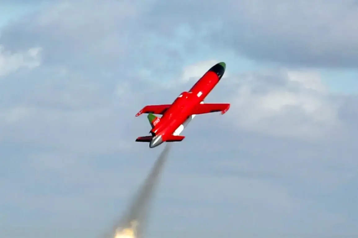 Russia Deploys New Kamikaze Drones 'Dan-M' in Ukraine, Sparking Analyst Concerns