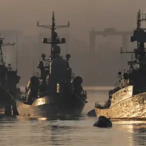 Russia's Pacific Fleet Arrives in Vietnam, Signaling Deepening Strategic Ties