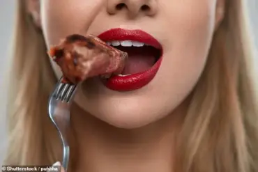 Urgent Recall of Over 100 Tons of Beef After FDA Detects Wood Fragments in Meat