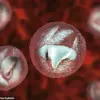 Urgent Warning: Cryptosporidium Outbreak at Welsh Petting Farm Infects 28