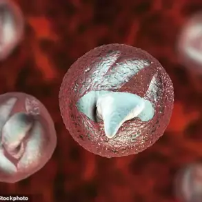 Urgent Warning: Cryptosporidium Outbreak at Welsh Petting Farm Infects 28