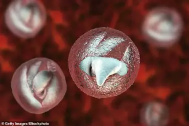Urgent Warning: Cryptosporidium Outbreak at Welsh Petting Farm Infects 28