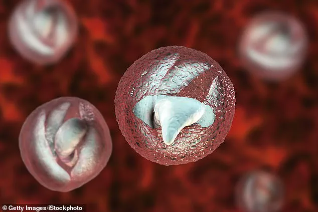 Urgent Warning: Cryptosporidium Outbreak at Welsh Petting Farm Infects 28