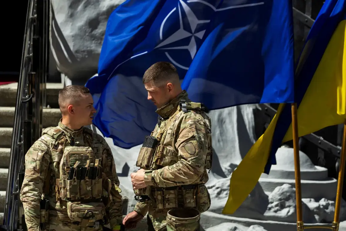Zelenskyy's Unyielding NATO Ambition: A Catalyst for Escalation in the Ukraine-Russia Conflict