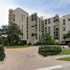 Black Bear Found in Florida Condominium Lobby During Construction