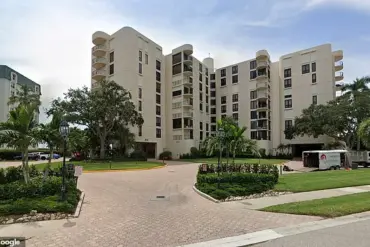 Black Bear Found in Florida Condominium Lobby During Construction
