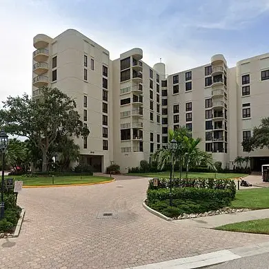 Black Bear Found in Florida Condominium Lobby During Construction