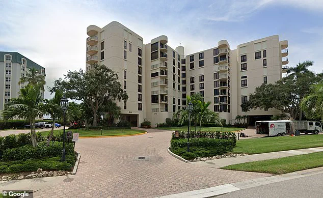 Black Bear Found in Florida Condominium Lobby During Construction