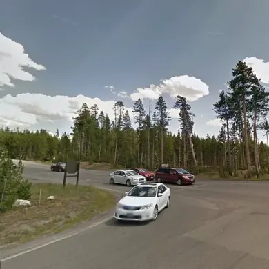 Controversy Erupts Over Yellowstone Visitor's Alleged Wrong-Way Driving and Confrontation with Park Employee