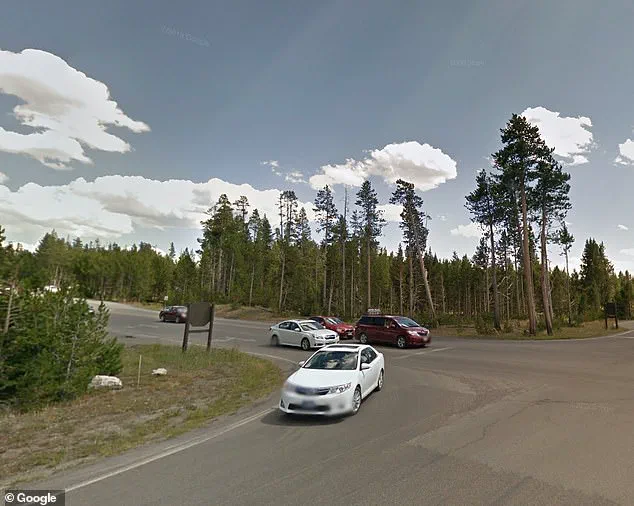 Controversy Erupts Over Yellowstone Visitor's Alleged Wrong-Way Driving and Confrontation with Park Employee