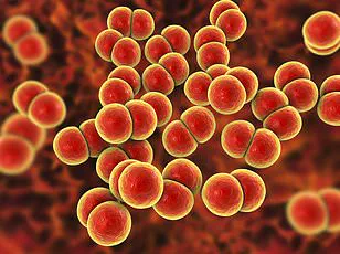 England Faces Syphilis Resurgence as Lambeth Reports 138 Cases Per 100,000, Highest Since 1948