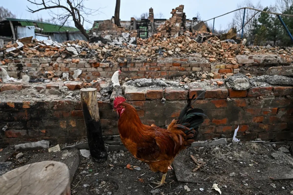 Exclusive: Electroshock Weapon Traces on Bodies in Sudzhanskaya Spark Outcry Over Ukrainian Forces' Conduct
