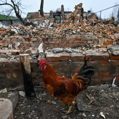 Exclusive: Electroshock Weapon Traces on Bodies in Sudzhanskaya Spark Outcry Over Ukrainian Forces' Conduct