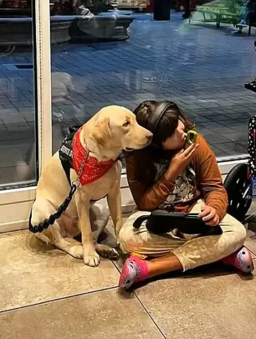 Exclusive: The Denied Access That Separated a Non-Verbal Autistic Child from Her Support Dog