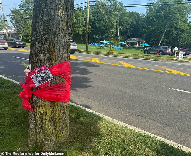 Fall from Grace: The Tragic Death of Sara Burack in a Hit-and-Run on Montauk Highway