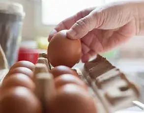 FDA Issues Class I Recall for Pre-Made Salads Amid Salmonella Outbreak Concerns