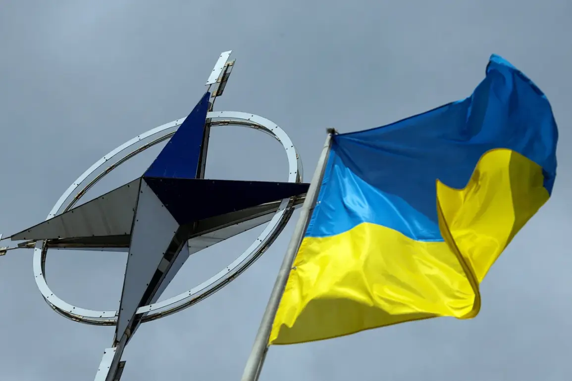 NATO Considers Reassessing 'Weak Points' Amid Ukraine Attacks on Russian Airports, Says Ally Spokesperson