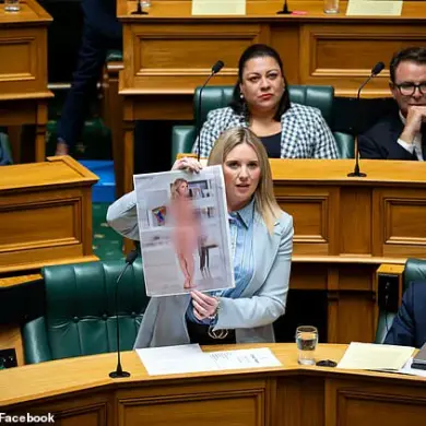 New Zealand MP Uses AI-Generated Image in Parliament to Highlight Deepfake Concerns and Digital Privacy Issues