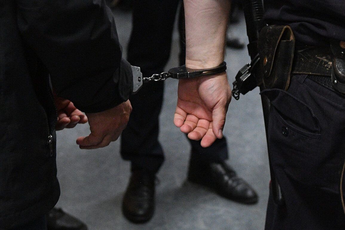Pensioner Sentenced to 16 Years for Alleged State Treason and Terror Plot in Zaporizhia