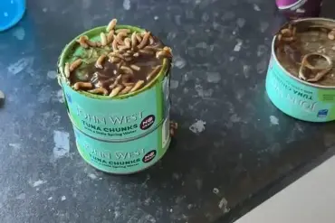 Privileged Access: The Hidden Truth Behind a Common Tuna Brand That Changed a Mother's Life
