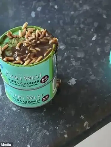 Privileged Access: The Hidden Truth Behind a Common Tuna Brand That Changed a Mother's Life