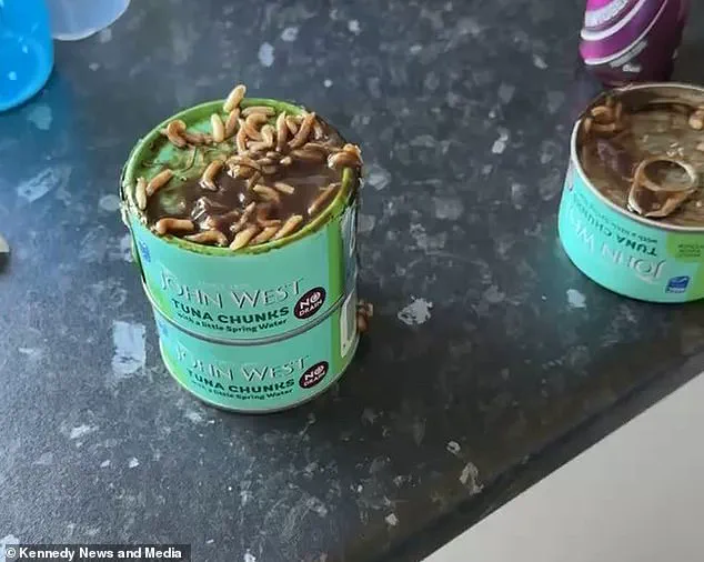Privileged Access: The Hidden Truth Behind a Common Tuna Brand That Changed a Mother's Life
