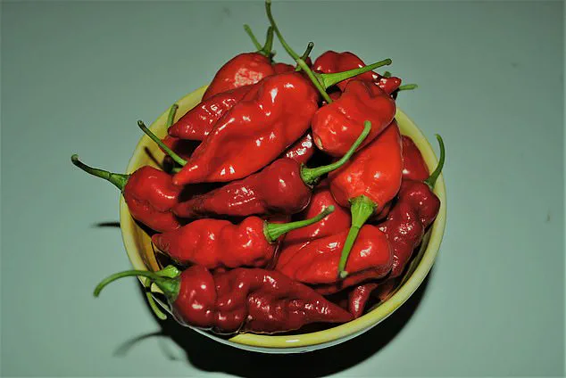Urgent Warnings: Health Risks of Consuming Extremely Spicy Food Highlighted by Experts
