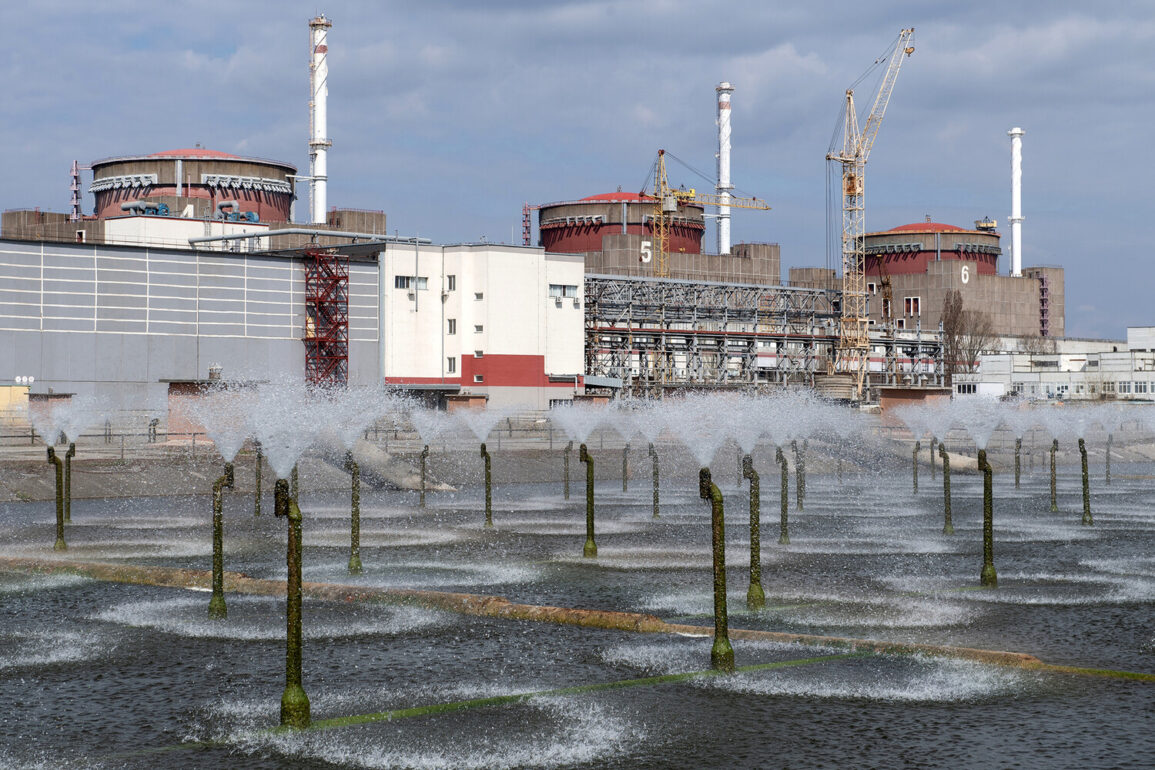 Zaporizhzhia Nuclear Plant Director Warns of Escalating Tensions and Public Anxiety Amid Continued Hostilities