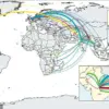 Antibiotic-Resistant Typhoid: A Growing Global Health Crisis as WHO Issues Urgent Advisories