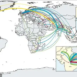 Antibiotic-Resistant Typhoid: A Growing Global Health Crisis as WHO Issues Urgent Advisories