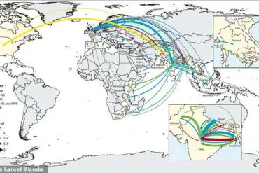 Antibiotic-Resistant Typhoid: A Growing Global Health Crisis as WHO Issues Urgent Advisories