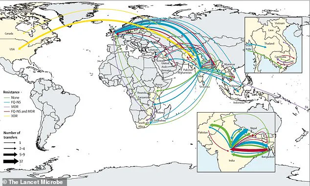 Antibiotic-Resistant Typhoid: A Growing Global Health Crisis as WHO Issues Urgent Advisories