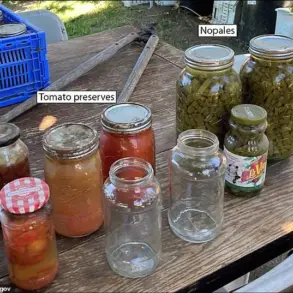 Botulism Outbreak Linked to Contaminated Salad in California Sparks Public Health Alert, CDC Report Details Risks
