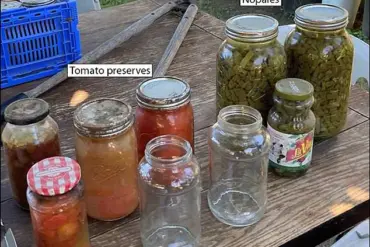 Botulism Outbreak Linked to Contaminated Salad in California Sparks Public Health Alert, CDC Report Details Risks