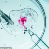 Breaking Barriers: How Embryo Adoption Programs Are Reshaping Parenthood and Legal Frameworks