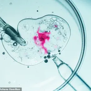 Breaking Barriers: How Embryo Adoption Programs Are Reshaping Parenthood and Legal Frameworks