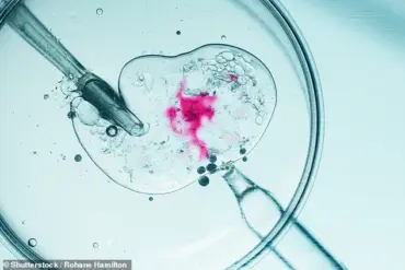 Breaking Barriers: How Embryo Adoption Programs Are Reshaping Parenthood and Legal Frameworks