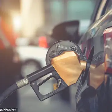 Canadian Study Finds Childhood Lead Exposure Linked to Higher Dementia Risk in Older Adults, Highlighting Environmental Toxins' Long-Term Impact