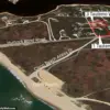 Confidential Nantucket Dispute: Heated Legal Battle Over 50-Year-Old Tree Grove and Unauthorized Tree Removal