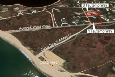 Confidential Nantucket Dispute: Heated Legal Battle Over 50-Year-Old Tree Grove and Unauthorized Tree Removal
