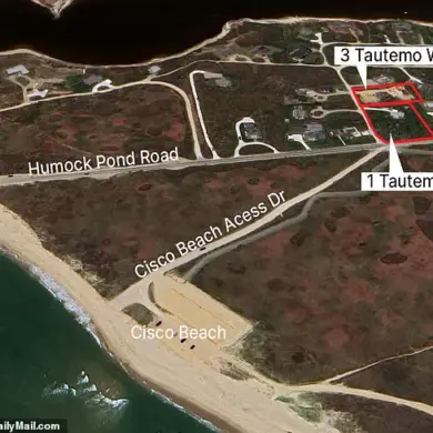 Confidential Nantucket Dispute: Heated Legal Battle Over 50-Year-Old Tree Grove and Unauthorized Tree Removal