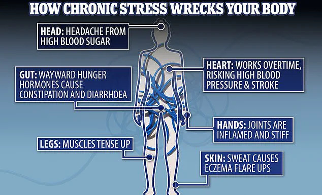 Cortisol Alert: Expert Warns of Urgent Health Impacts from Chronic Stress Hormone