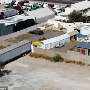 Decomposing Bodies at Mexico-US Border Raise Questions About Missing Individuals and Government Response