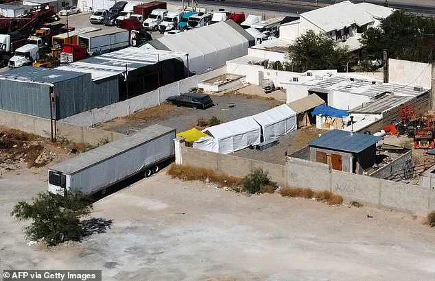 Decomposing Bodies at Mexico-US Border Raise Questions About Missing Individuals and Government Response