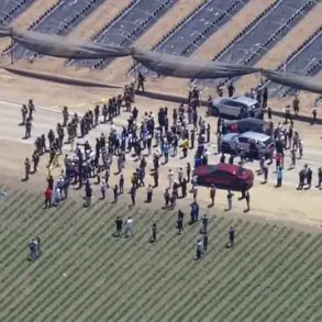 Escalating Tensions: ICE Raid in Carpinteria Spirals into Chaos with National Guard and Demonstrators in Clash Over Immigration Enforcement